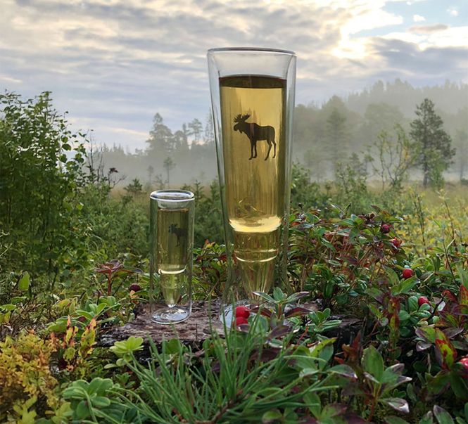 Main Image Silver Moose Glass, set of two 