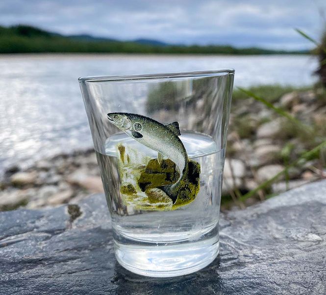 Main Image Shotglass, salmon