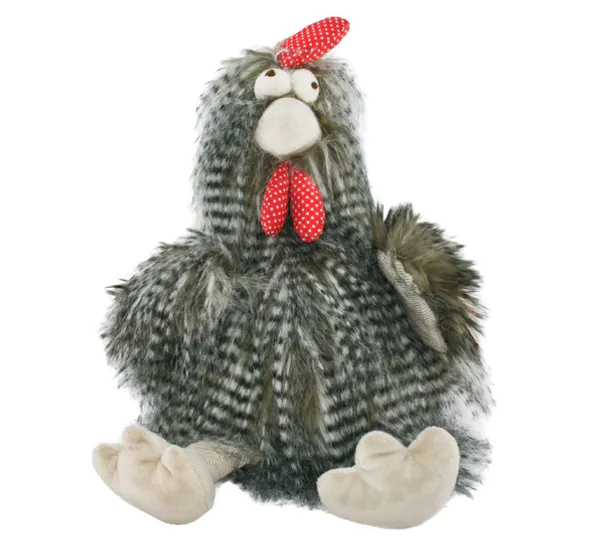 Main Image Large hen with fluffy feathers
