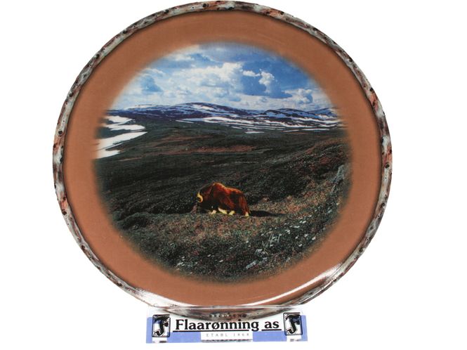 Main Image Asjett - Skal Hilse Fra Fjellet 'Moskus' 