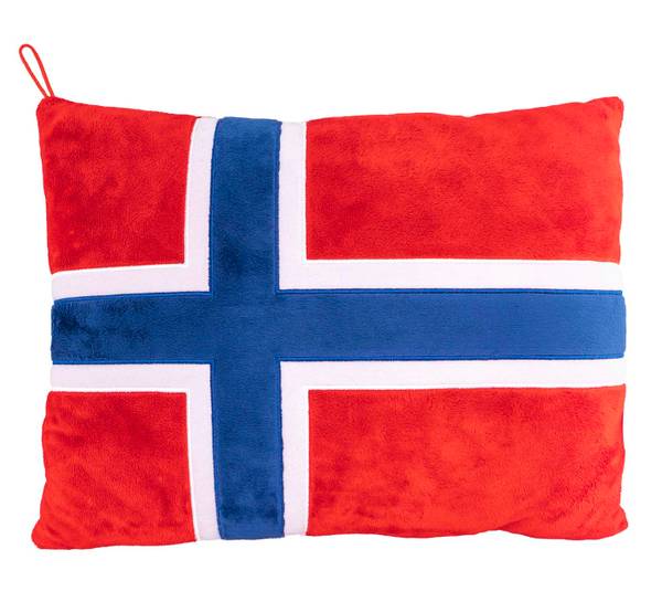 Main Image Flaggpute