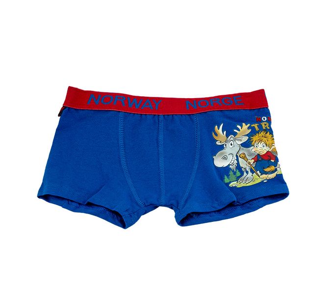 Main Image Boys' boxers  Motive, Troll and moose