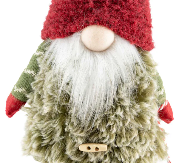 Main Image Santa Claus with gift bag
