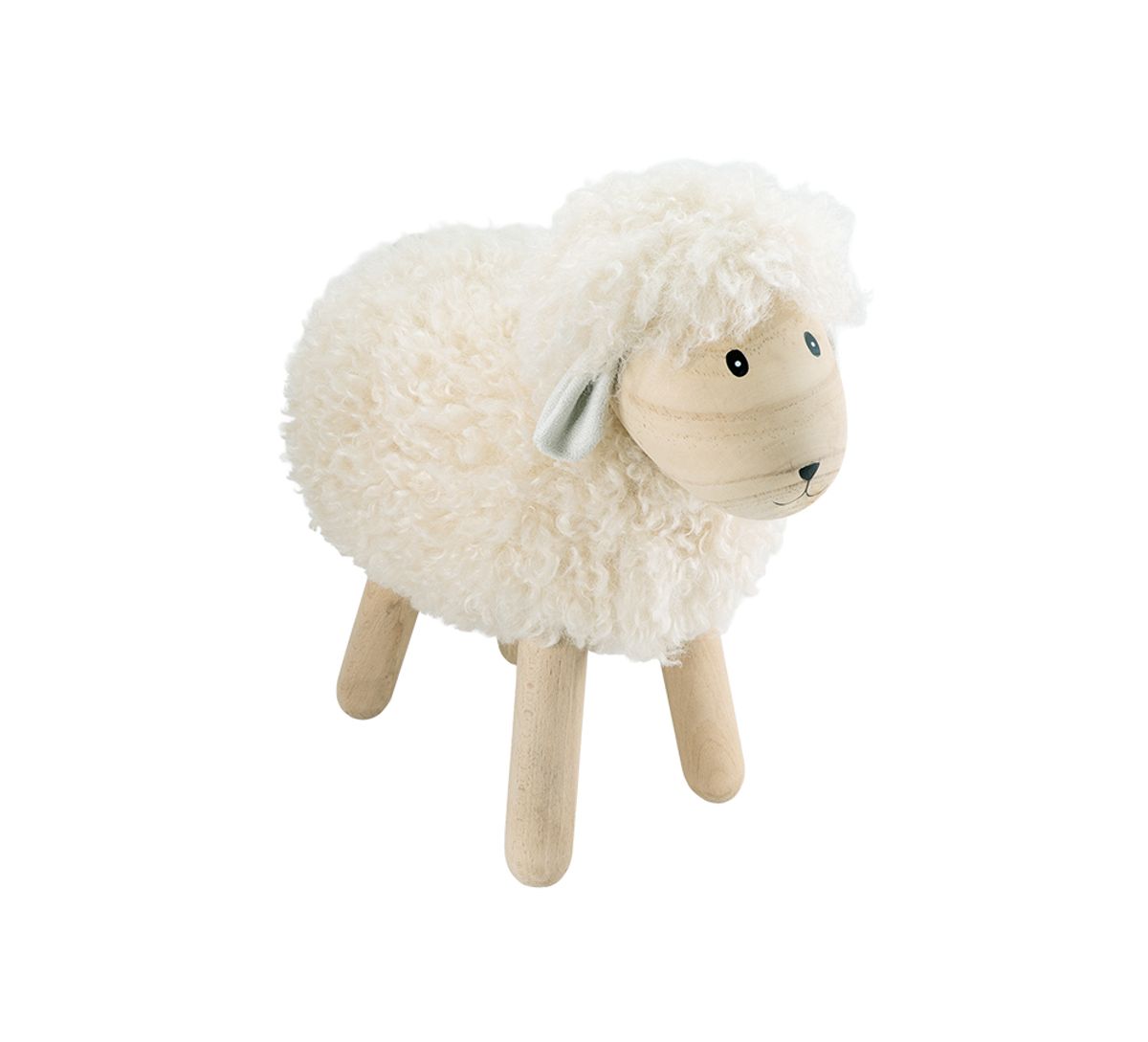 Sheep cream, big