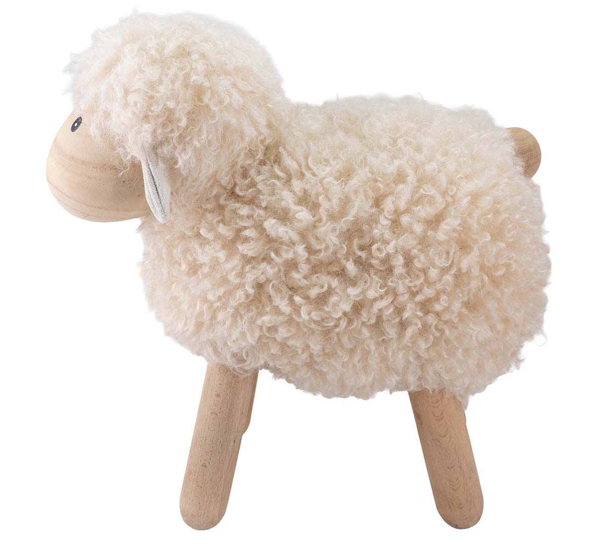 Sheep cream, big